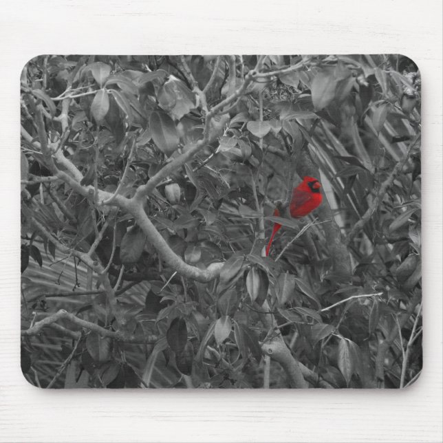 Cardinal in a Tree Mousepad (Front)