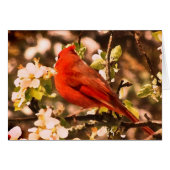 Cardinal in Apple Blossoms (Front Horizontal)