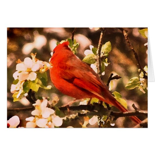 Cardinal in Apple Blossoms (Front Horizontal)
