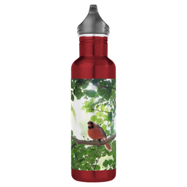 Cardinal in Crepe Myrtle, Personalized Stainless Steel Water Bottle (Right)