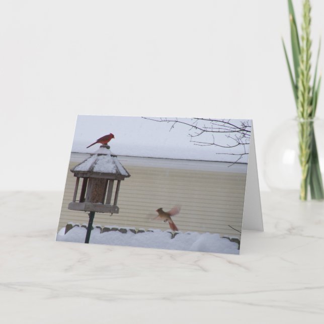 Cardinal in Flight Holiday Card (Front)