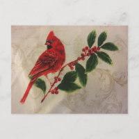 Cardinal in Holly Bush