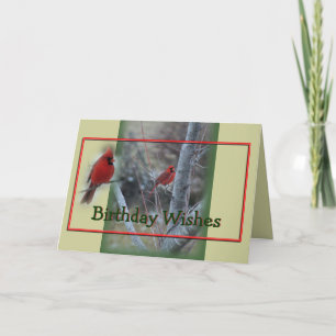 Cardinal in Maple Tree- customize any occasion Card