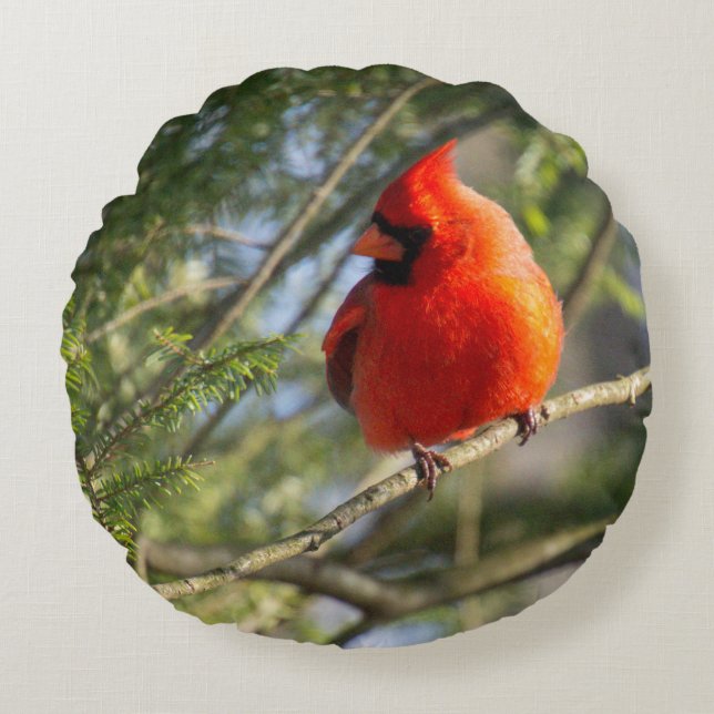 Cardinal in Pines Round Pillow (Front)