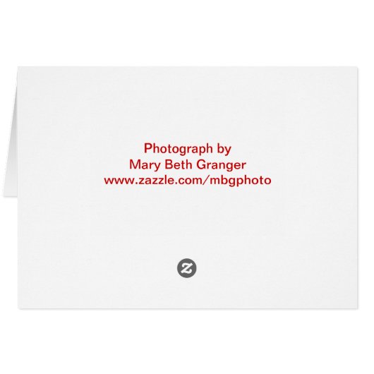 Cardinal in Snow (Back Horizontal)