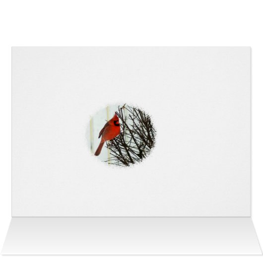 Cardinal in Snow (Inside Horizontal (Top))