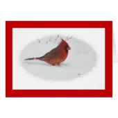 Cardinal in Snow (Front Horizontal)