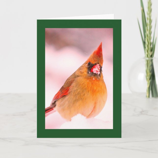 CARDINAL IN SNOW BLANK CHRISTMAS CARD (Front)