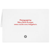 Cardinal in Snow Cards (Back Horizontal)