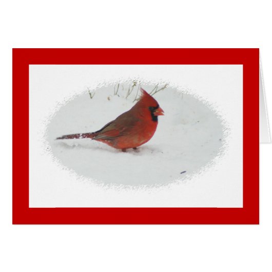 Cardinal in Snow Cards (Front Horizontal)