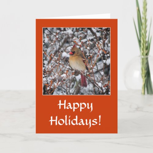 Cardinal in snow Christmas greeting cards