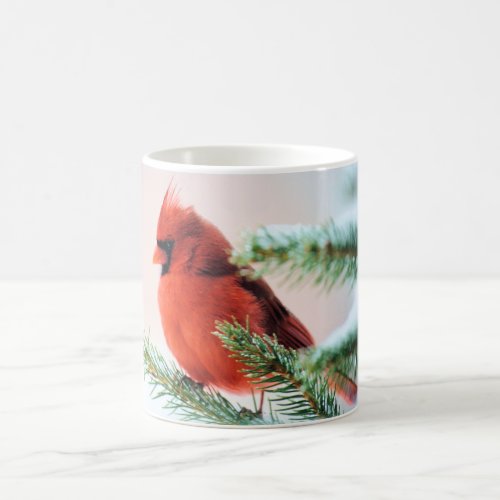 Cardinal in Snow Dusted Fir Coffee Mug