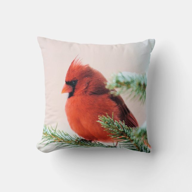 Cardinal in Snow Dusted Fir Throw Pillow (Front)