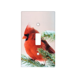 Cardinal in Snow Dusted Fir Tree Light Switch Cover