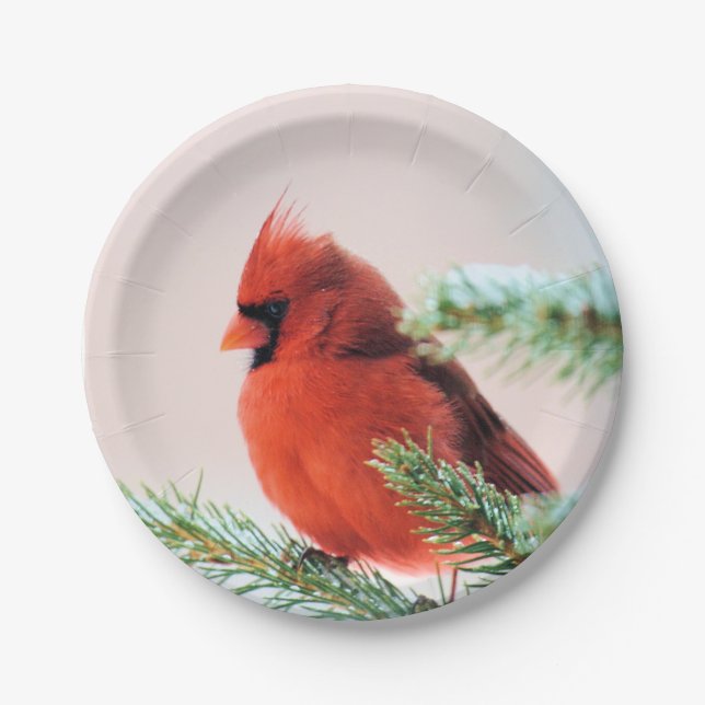 Cardinal in Snow Dusted Fir Tree Paper Plates (Front)