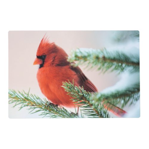 Cardinal in Snow Dusted Fir Tree Placemat