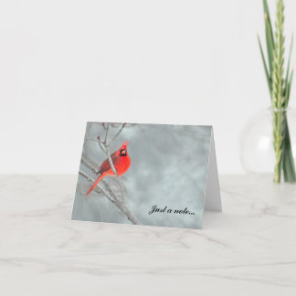Cardinal in Snow Letterpress Thank You Card