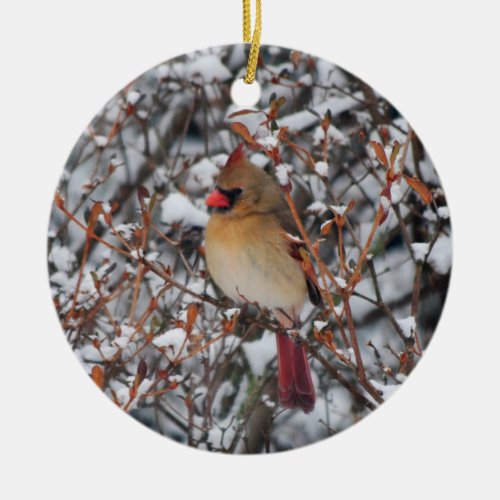 Cardinal in snow ornament