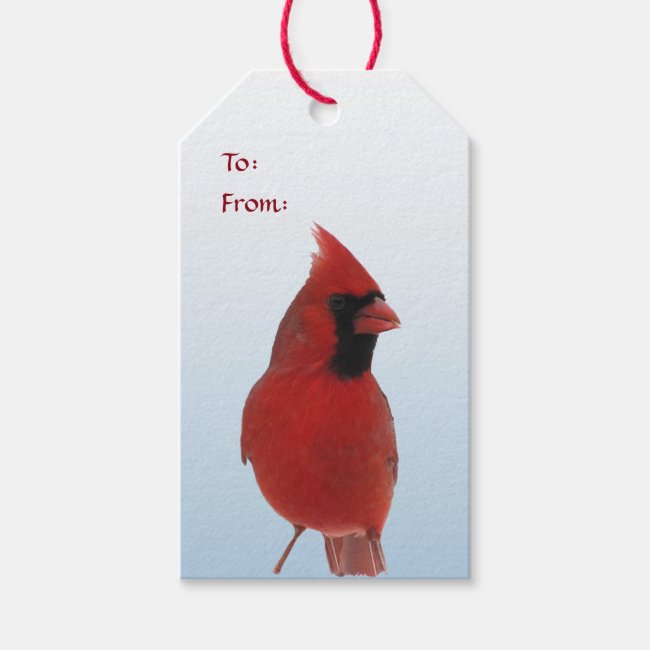 Cardinal in Snow Pack of Gift Tags