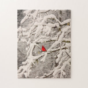 Cardinal in Snow Puzzle