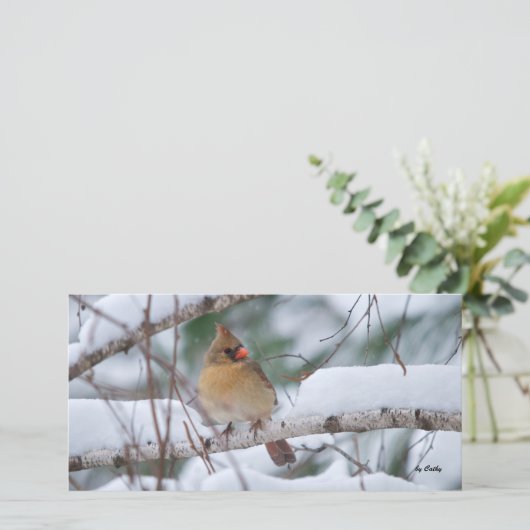 Cardinal in Snow Storm (Standing Front)
