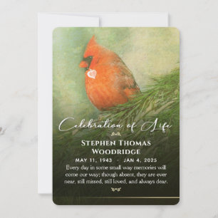 Cardinal in Spruce Celebration of Life 5x7 Invitat Invitation