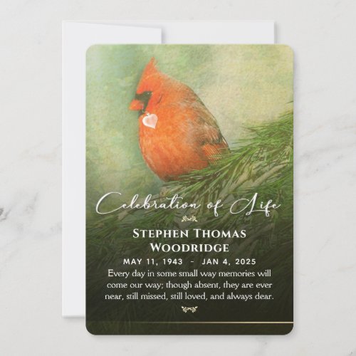 Cardinal in Spruce Celebration of Life Photo 5x7  Invitation