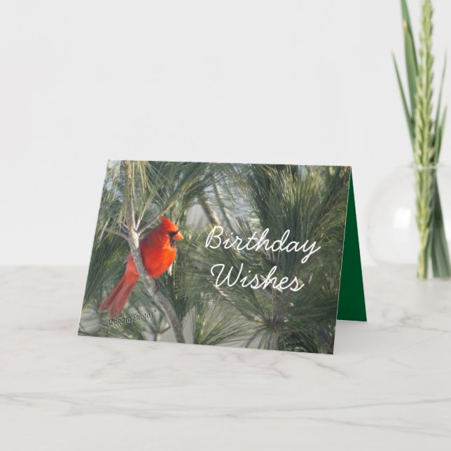 Cardinal in the Pine-customize any occasion Card (Front)