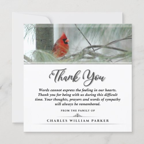 Cardinal in the Pine SQUARE Funeral Thank You Card