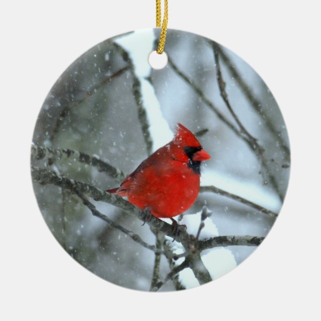 Cardinal In The Snow Ceramic Ornament (Front)
