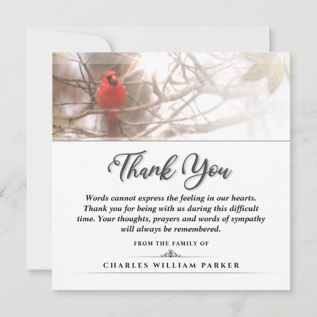 Cardinal in the Tree SQUARE Funeral Thank You Card (Front)