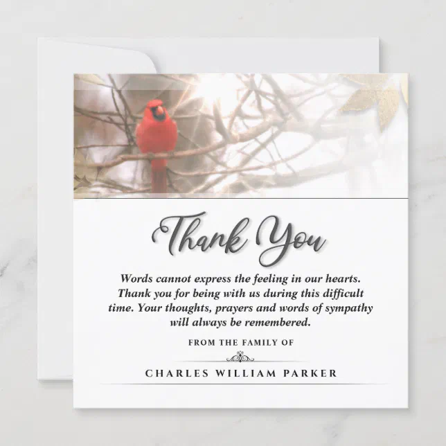 Cardinal in the Tree SQUARE Funeral Thank You Card | Zazzle