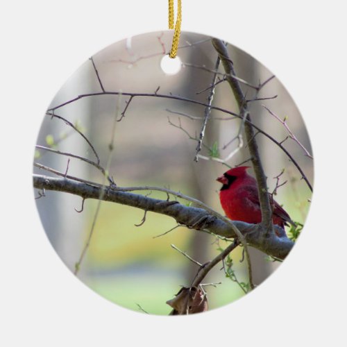 Cardinal in Tree    Ceramic Ornament