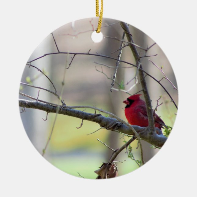Cardinal in Tree    Ceramic Ornament (Front)