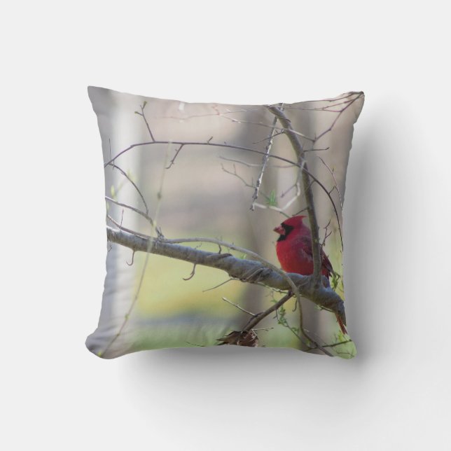 Cardinal in Tree   Outdoor Pillow (Front)