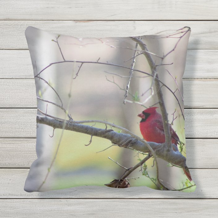 Cardinal in Tree Outdoor Pillow