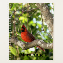 Cardinal in Tree Personalized