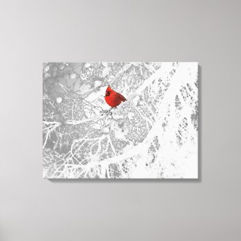 Cardinal In Winter Canvas Print by efhenneke at Zazzle
