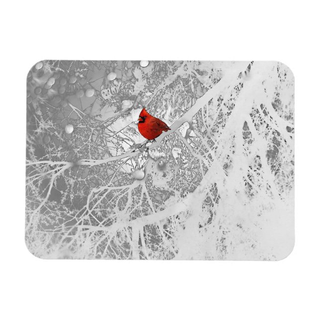 Cardinal in Winter Magnet (Horizontal)
