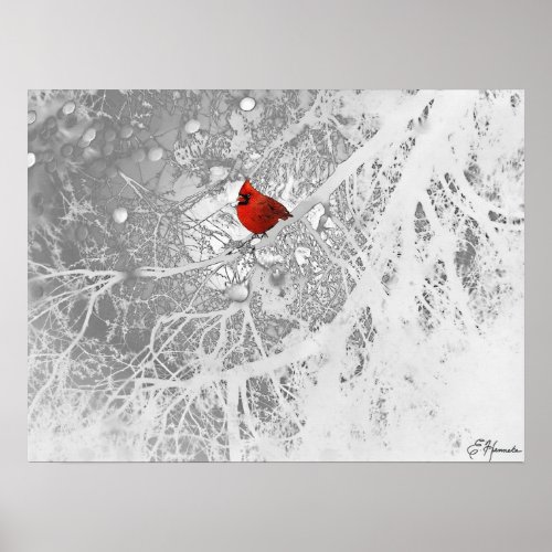 Cardinal in Winter Poster
