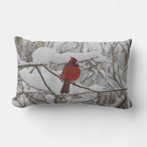 Cardinal in winter snow pillow