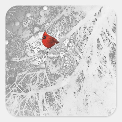 Cardinal in Winter Sticker
