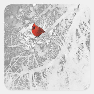 Cardinal in Winter Sticker
