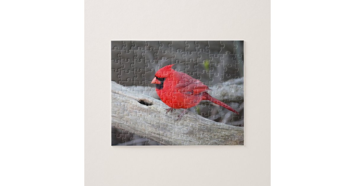Cardinal in Woods Jigsaw Puzzle Zazzle