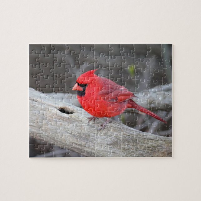 Cardinal in Woods Jigsaw Puzzle (Horizontal)