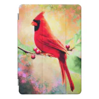 Louisville Cardinals iPad Cases & Covers