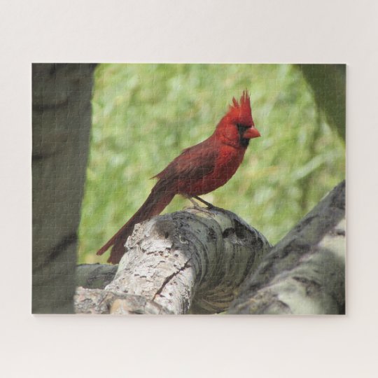 Cardinal Jigsaw Puzzle