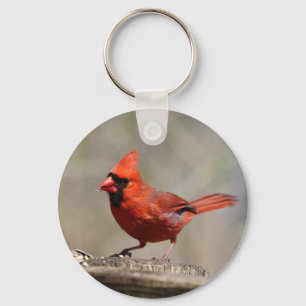 Cardinal keychain