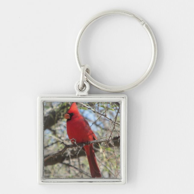 Cardinal Keychain (Front)