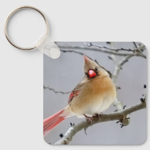 Cardinal_keychain Keychain